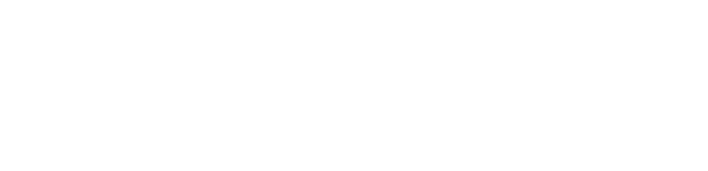 0logoipsum-262-1-1.png